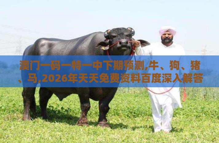 澳门一码一特一中下期预测,牛、狗、猪、马,2026年天天免费资料百度深入解答、解释与落实-谨防欺诈的假套路