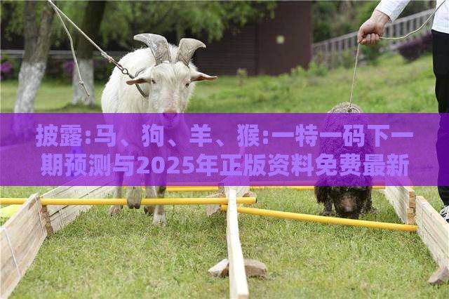 披露:马、狗、羊、猴:一特一码下一期预测与2025年正版资料免费最新版本大全图片和抵制欺诈的假诱导词,通俗剖析、专家解读解释与落实