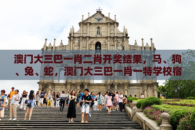 澳门大三巴一肖二肖开奖结果，马、狗、兔、蛇，澳门大三巴一肖一特学校宿舍条件详细解答、解释与落实,抵制欺骗承诺套路