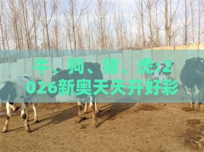 牛、狗、猪、虎:2026新奥天天开好彩新奥彩与大三巴的资料免费大全舞蹈女驸马基础释义、解释与落实-小心不实的假包装惑