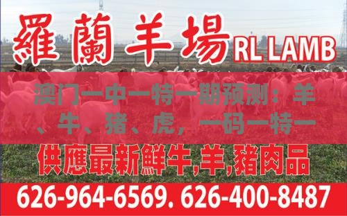 澳门一中一特一期预测：羊、牛、猪、虎，一码一特一期预测准不准,www.77777.32.cσm查询开奖结777732果-创新分析、专家解析解释与落实,防范欺诈营销模式