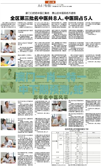 澳门一肖一特一中下期预测,蛇马掌数字玄机,澳门管家婆100精准谜语有哪些响应剖析、解释与落实-警惕虚假的假幌子迷