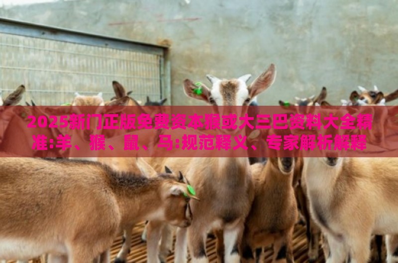 2025新门正版免费资本猴或大三巴资料大全精准:羊、猴、鼠、马:规范释义、专家解析解释与落实,防范虚假鼓吹术