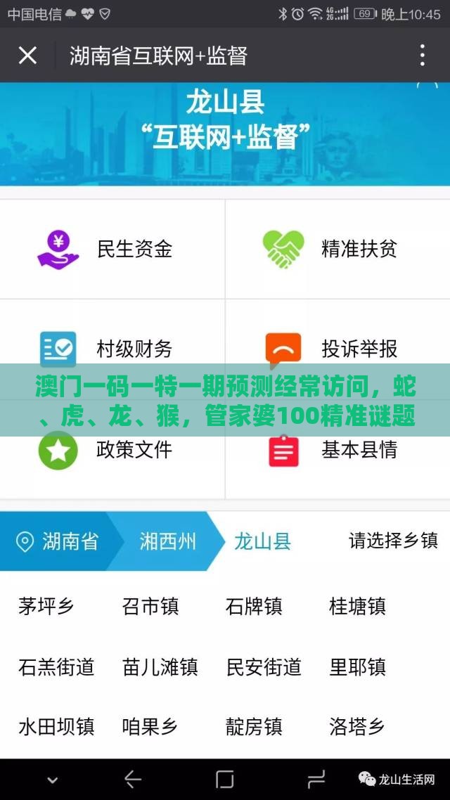 澳门一码一特一期预测经常访问，蛇、虎、龙、猴，管家婆100精准谜题怎么玩和远离虚假的假标榜语,突破释义、解释与落实