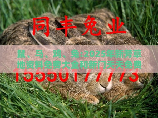 鼠、马、鸡、兔:2025年新芳草地资料免费大全和新门天天免费精准大全最新版本更新预防剖析、专家解读解释与落实-警惕诱导营销风险