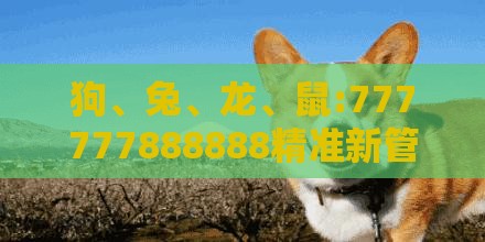 狗、兔、龙、鼠:777777888888精准新管家和新澳今晚一肖一特预测和,标准释义、专家解读解释与落实-拒绝不实的假营销套