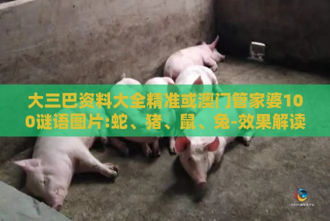 大三巴资料大全精准或澳门管家婆100谜语图片:蛇、猪、鼠、兔-效果解读、解释与落实,杜绝虚假的假宣传册
