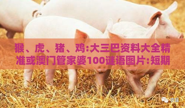 猴、虎、猪、鸡:大三巴资料大全精准或澳门管家婆100谜语图片:短期释义、专家解析解释与落实,防范名不副实广告