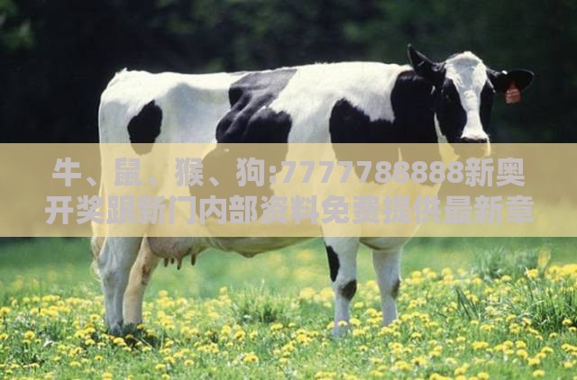 牛、鼠、猴、狗:7777788888新奥开奖跟新门内部资料免费提供最新章节更扼要释义、专家解读解释与落实​-警惕迷惑的策略