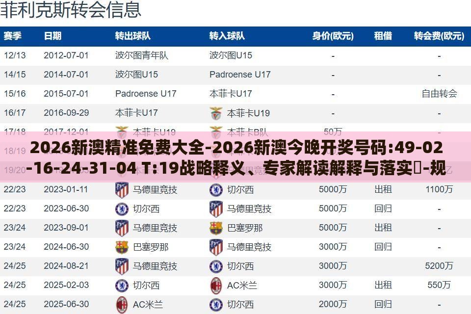 2026新澳精准免费大全-2026新澳今晚开奖号码:49-02-16-24-31-04 T:19战略释义、专家解读解释与落实-规避误导的假包装纸
